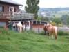 HWK Ardennes 2014 027_small.jpg